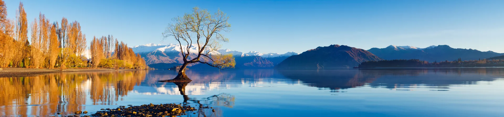 New Zealand eVisa/ETA