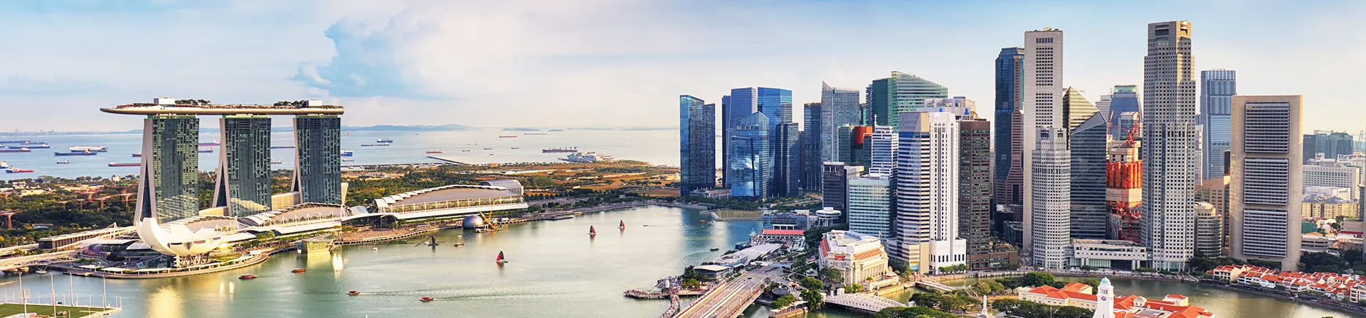 Singapore Arrival Card