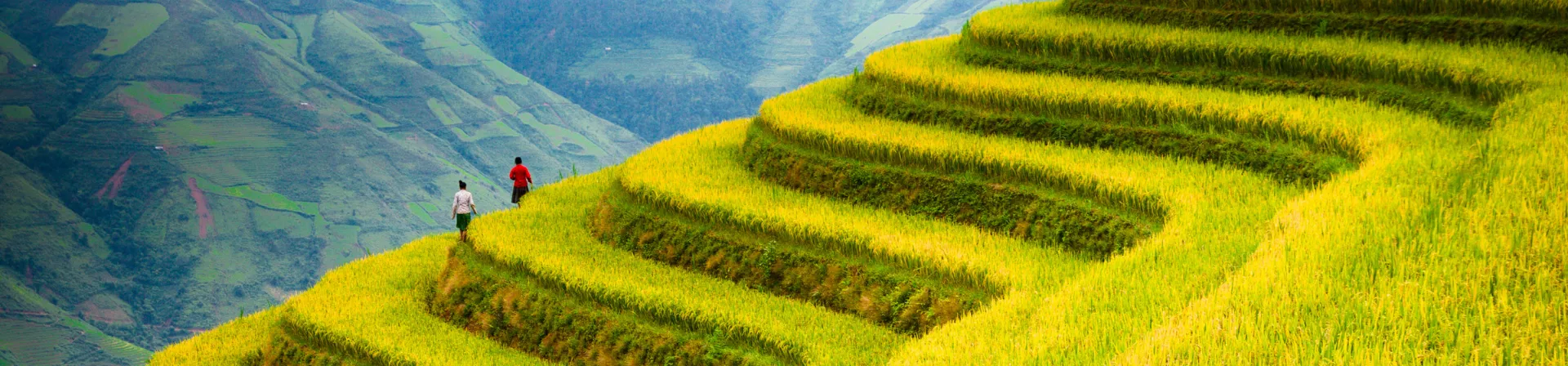 Vietnam eVisa Vietnam eVisa