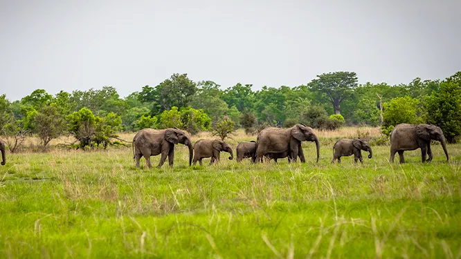 Entering Benin in 2025 Entering Benin in 2025