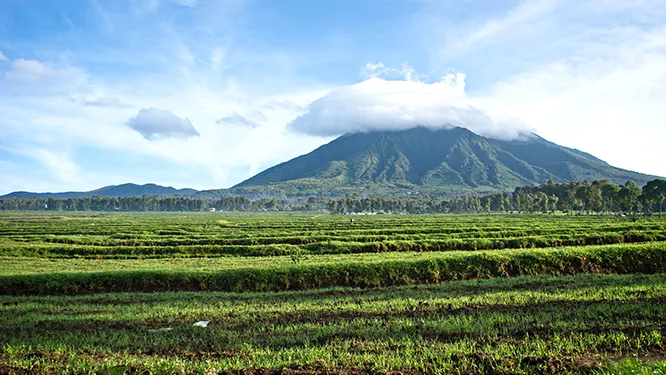 Entering Rwanda in 2026