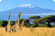KENYA VISA