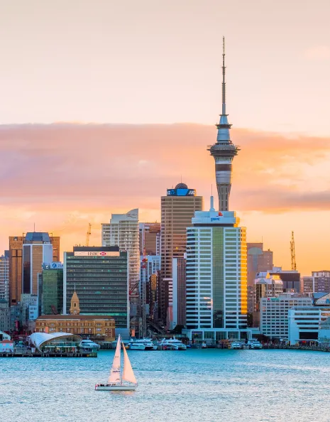 New Zealand Highlights