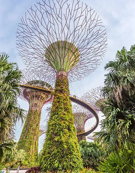 Singapore Highlights