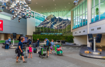 New Zealand Traveller Declaration Card: A Complete Guide for Travelers
