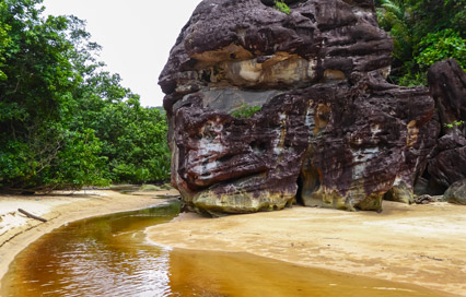Bako National Park: Proboscis Monkeys and Cliff Trails near Kuching