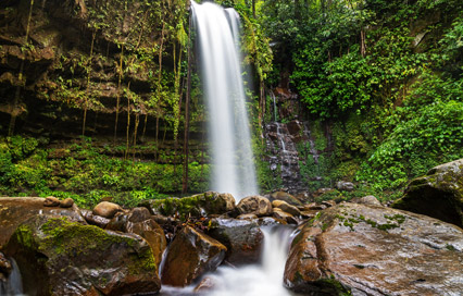 Crocker Range National Park: Trails Between Sabah&#39;s Villages