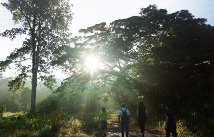Tabin Wildlife Reserve: Night Safaris and Mud Volcanoes