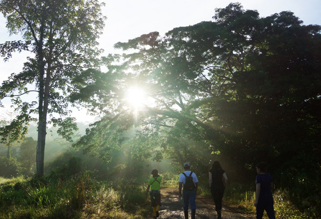 Tabin Wildlife Reserve