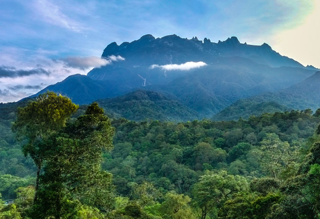 Mountain trekking in Crocker Range
