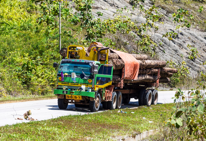 Transportation in Maliau Basin