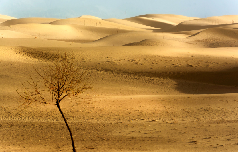 Cold desert in Pakistan, katpana desert is a cold high altitude sand dune desert