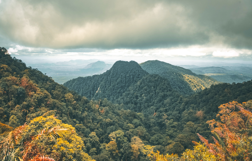 Dramatic Sky in kubah National park Dramatic Sky in kubah National park