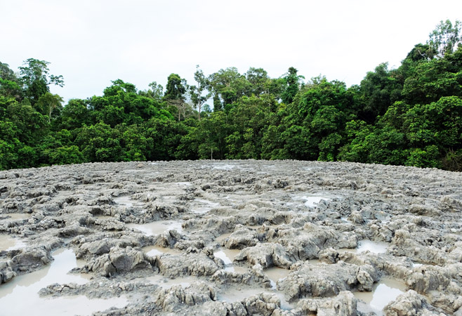 Mud Volcanoes - Tabin Wildlife Reserve
