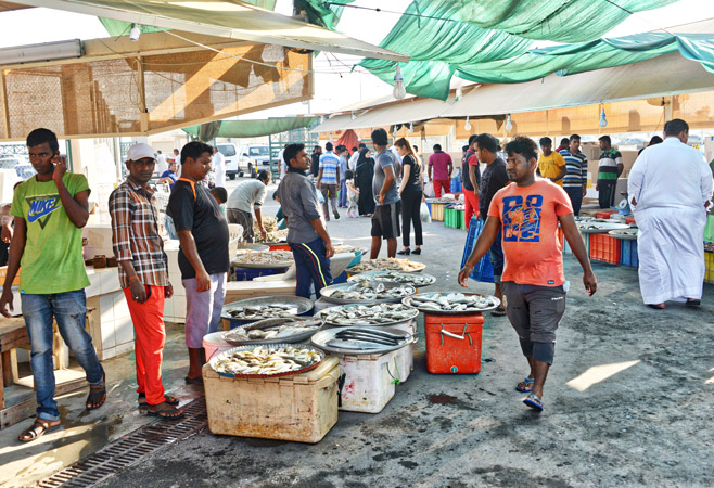 The Fish Market in Bahrain The Fish Market in Bahrain