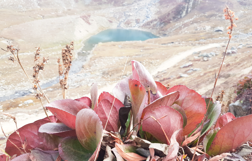 Trek To Ratti Gali Lake, Dowarian, Neelum Valley, Azad Kashmir