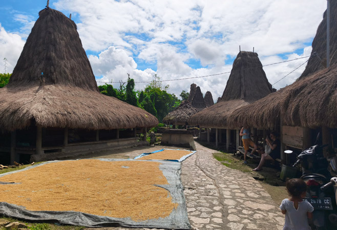 West Sumba's traditional villages West Sumba's traditional villages