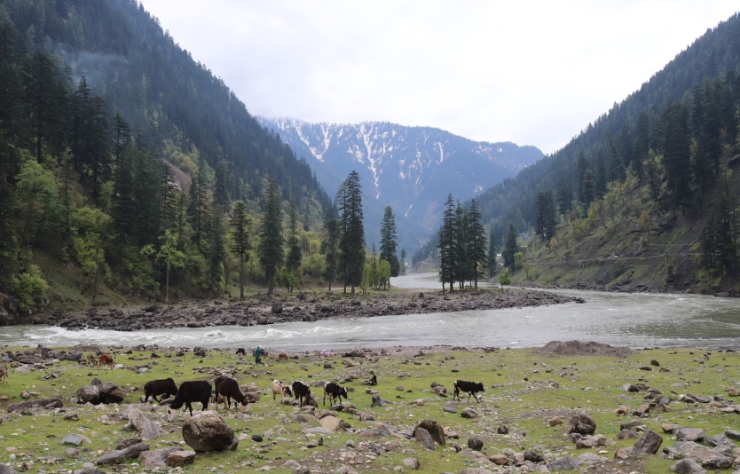 Kashmir mountains spot for relaxation and family picnics