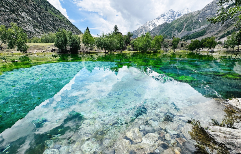 Naltar Valley  Naltar Valley