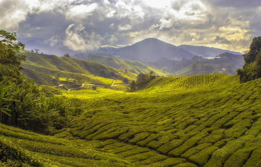 Travel to Malaysia from Pakistan to learn the history of both countries Travel to Malaysia from Pakistan to learn the history of both countries