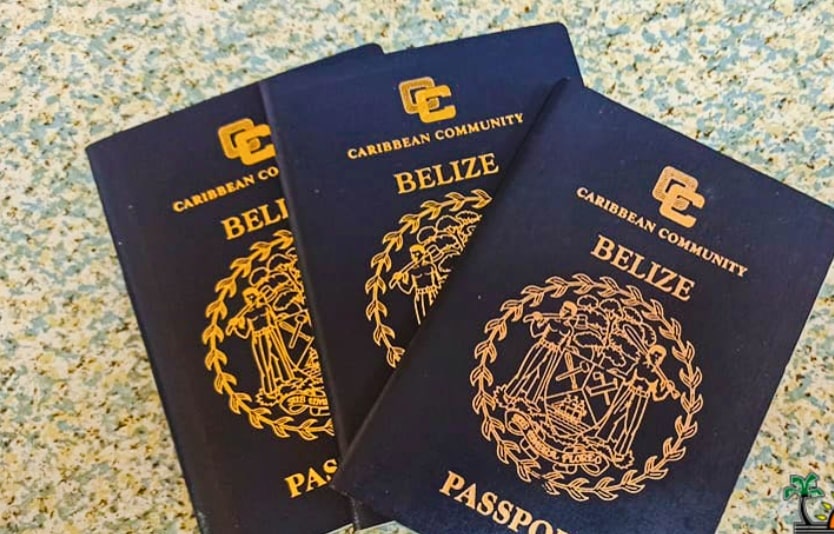 Bahrain e-visa documents for Belizean citizens