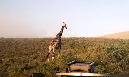 Cambodia eVisa Service Image 2