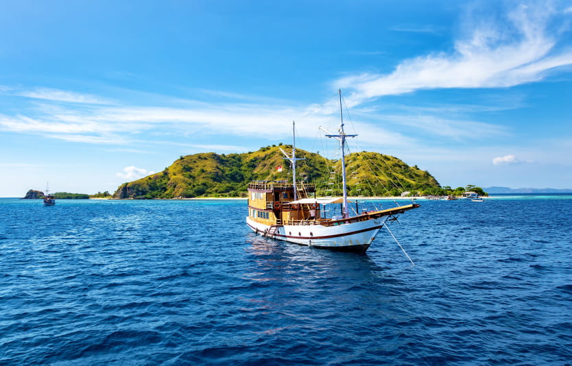 Countries are closest to Indonesia