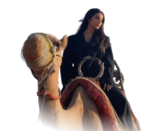 Desert rider Desert rider