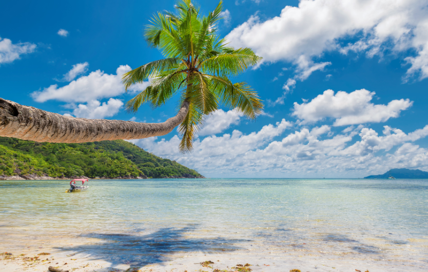 Goa is a mesmerizing beach in India