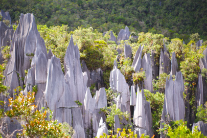 Ultimate Guide to Gunung Mulu National Park: Caves, Canopies, and Conservation