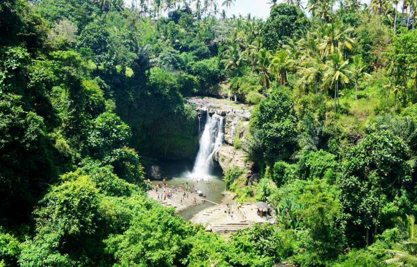 Discover the best time to visit Bali before planning your trip