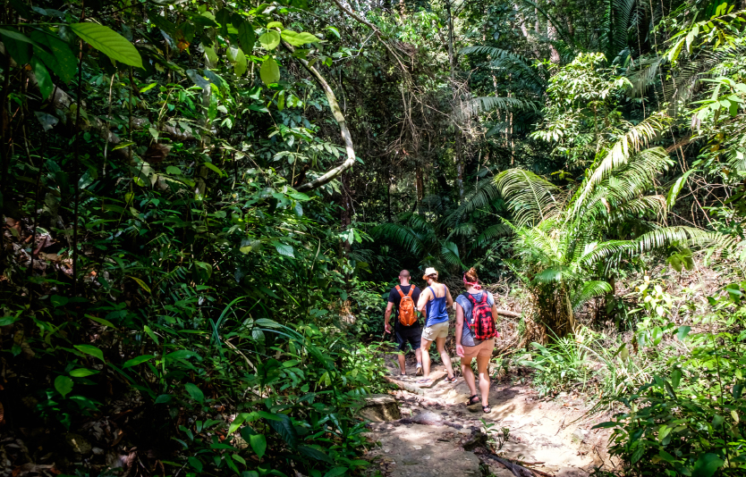 Penang National Park