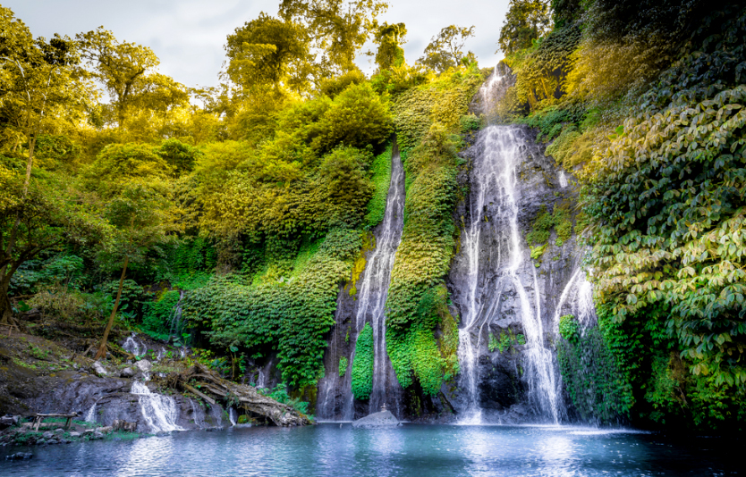 The Banyumala Twin Falls are among Bali's most striking waterfalls 