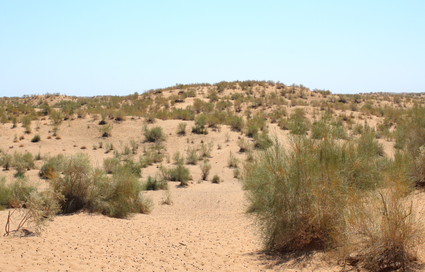 Uzbekistan desert landscape