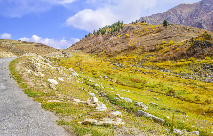 Deosai National Park is one of the most famous places in Skardu