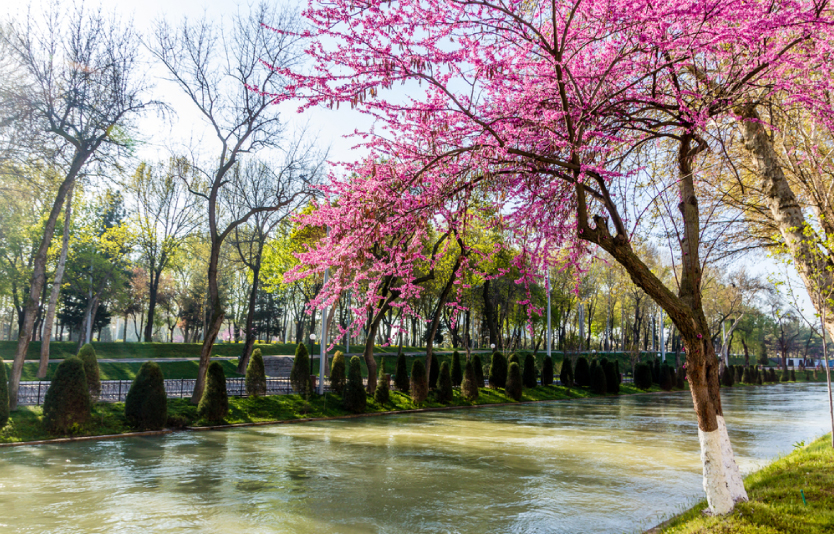 Spring is best time to travel to Uzbekistan