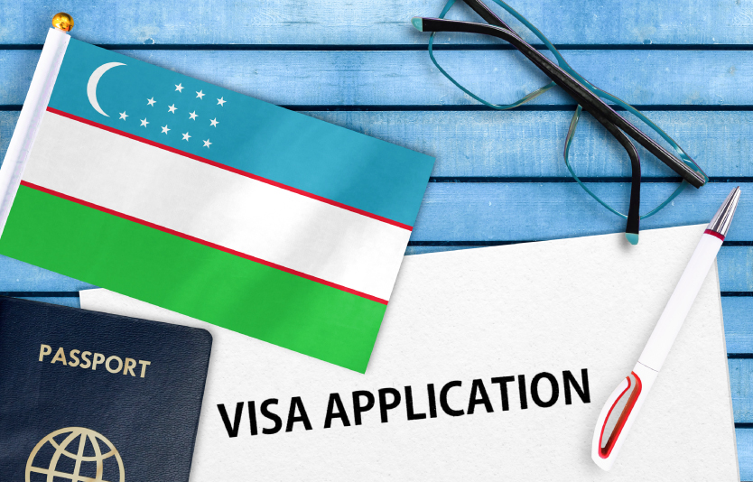 Travelers should check visa requirements carefully before applying for an e-visa 