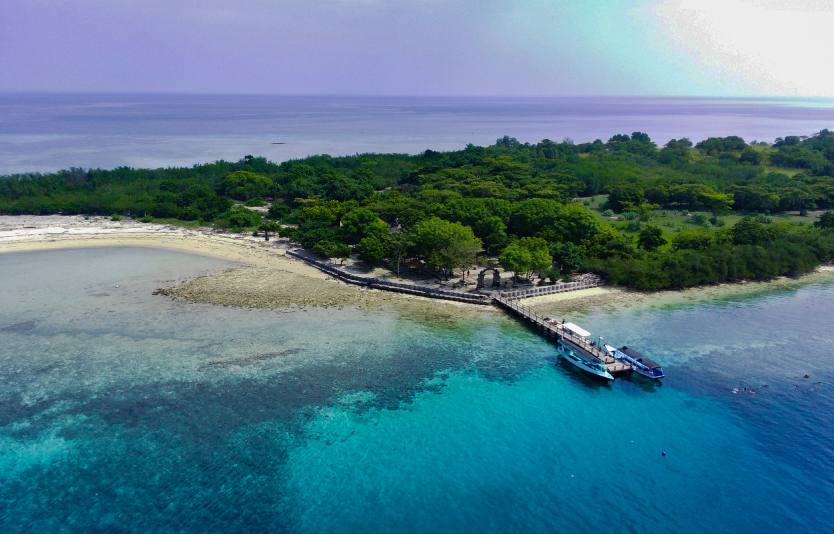West Bali National Park, a designated natural park since 1917, is powerful, with montane forests
