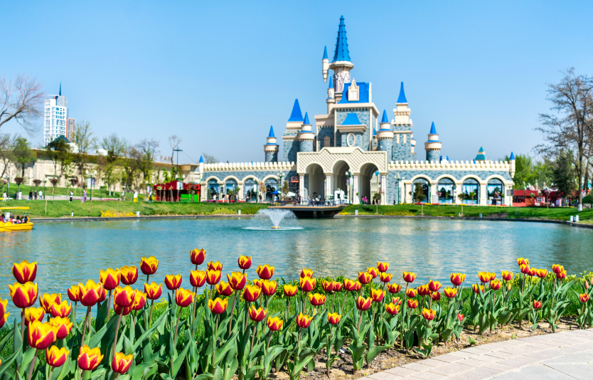 Flights between India and Uzbekistan are available throughout the week  Flights between India and Uzbekistan are available throughout the week