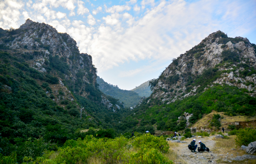 Margalla Hills