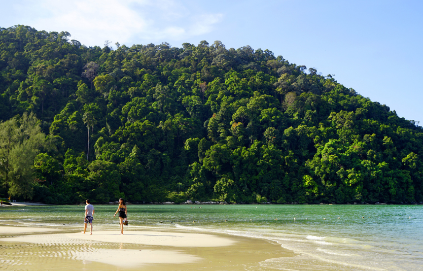 Monkey Beach