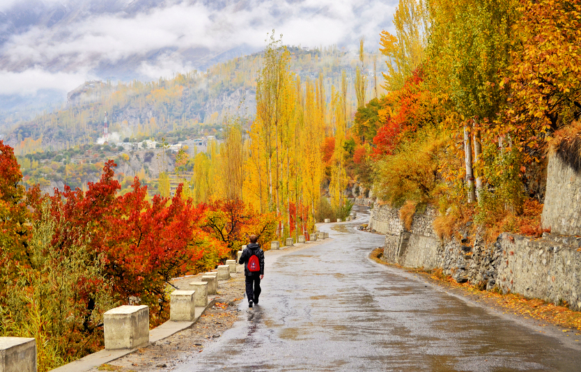 Pakistan travel advice for the UK citizens Pakistan travel advice for the UK citizens