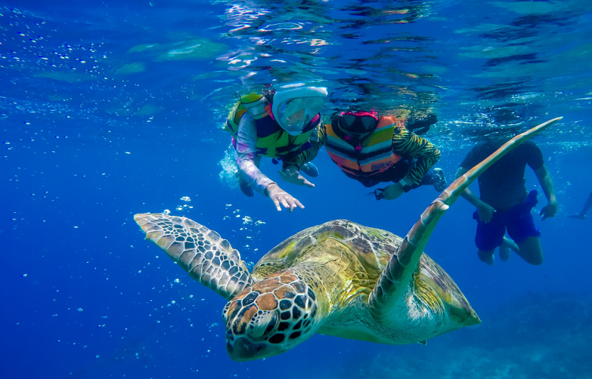 Snorkeling and diving are the top activities on the Gili Islands