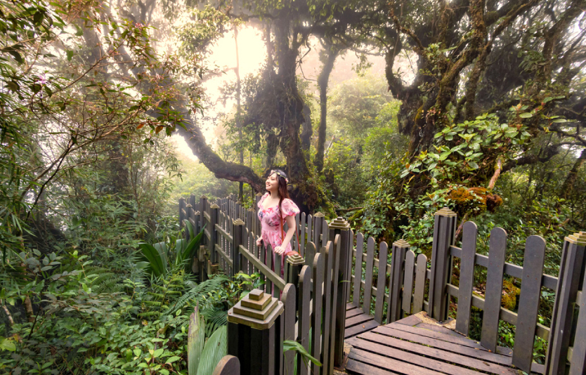 Enjoy the outskirts of Kuala Lumpur with wildlife