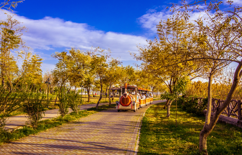For travelers seeking a relaxed and budget-conscious option, trains remain a reliable choice For travelers seeking a relaxed and budget-conscious option, trains remain a reliable choice