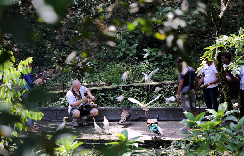 Kuala Lumpur Bird Park Kuala Lumpur Bird Park