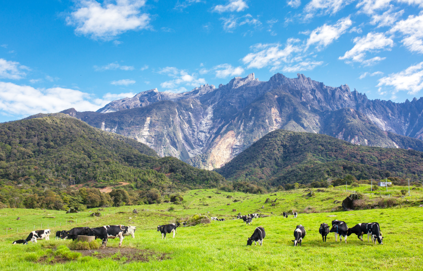 Kundasang Hill Station Kundasang Hill Station