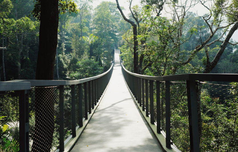 The Habitat