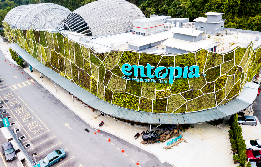 Entopia