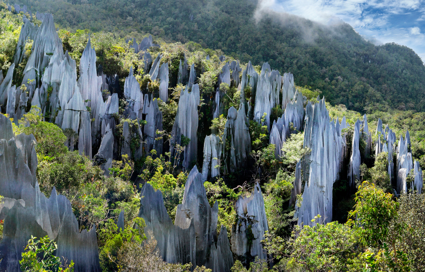 Gunung Mulu National Park